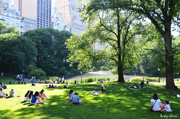 Nowy Jork co warto zobaczyć Central Park
