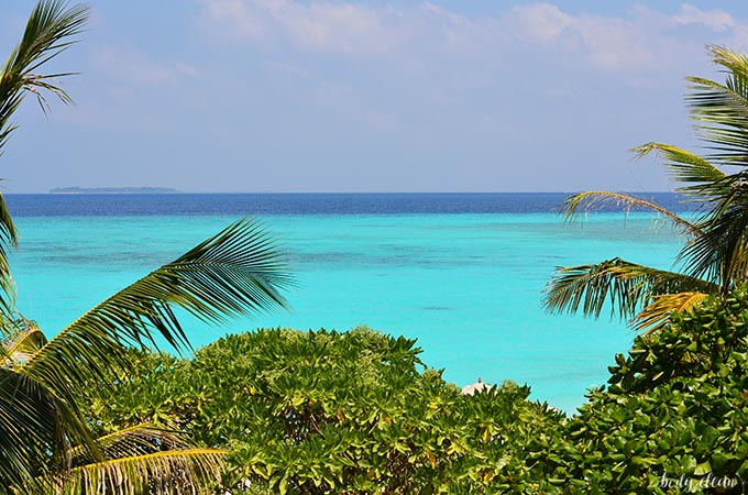 Malediwy wakacje Hanimaadhoo