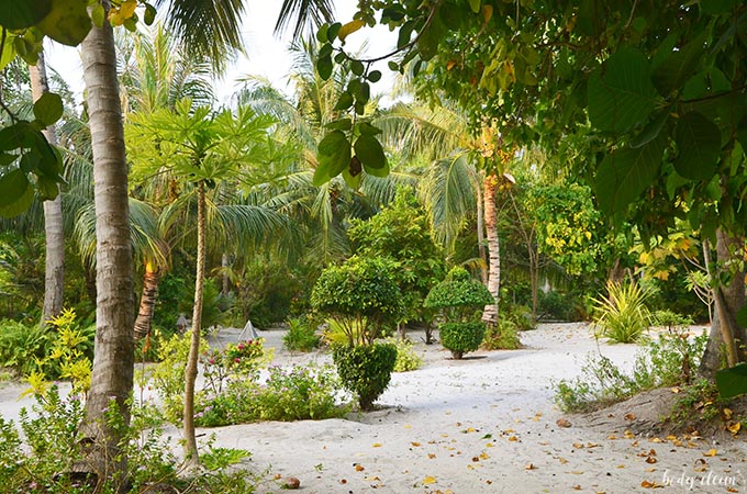 Malediwy wakacje Hanimaadhoo