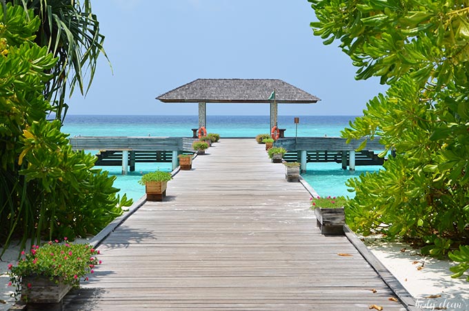 Malediwy wakacje Hanimaadhoo The Barefoot Hotel